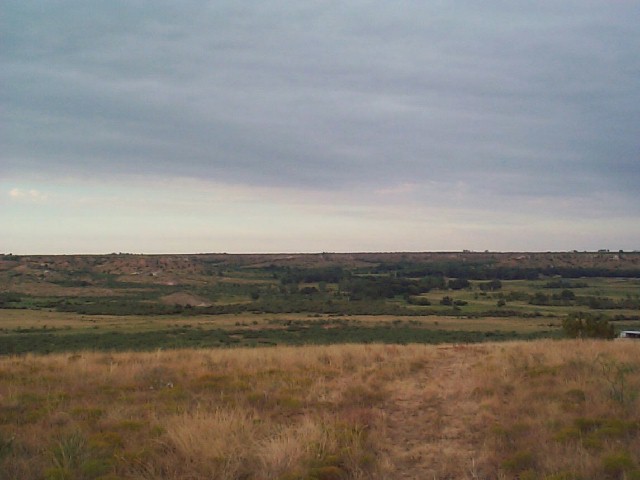 view_from_back_porch