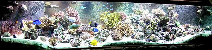 fulltank_700